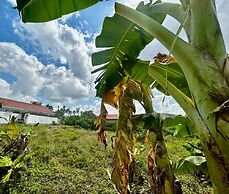Canggu Jungle View Villa