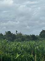 Canggu Jungle View Villa