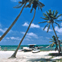 Caye Caulker Otel