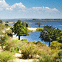 Maun Hotels
