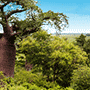 Ngoma Hotels