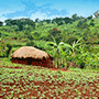 Kirundo Hotels