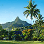 Rarotonga Hotels