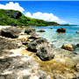 Yona Hotels