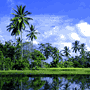 Ubud Hotels