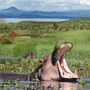 Naivasha Hotels