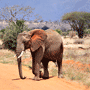Shimba Hills National Reserve Hotels