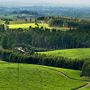 Thyolo Hotels