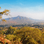 Zomba Hotels