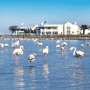 Walvis Bay Hotels