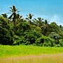 Mbambanakira Hotels