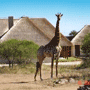 Hoedspruit Hotels
