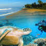Kosgoda Hotels