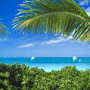 Providenciales Hotelů