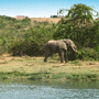Kasese Hotels
