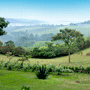 Kibale Hotels