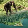 Ngamba Island Hotels