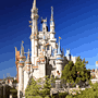 Orlando Hotels