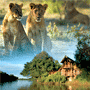 South Luangwa National Park Hotels